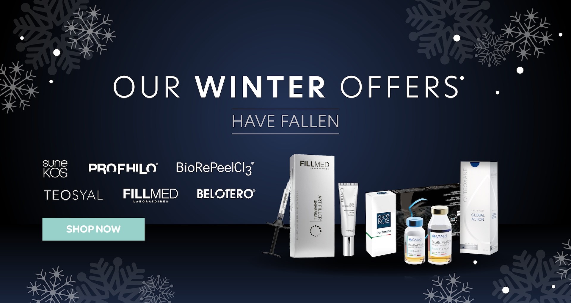 winter offers promo page banner